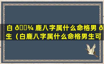白 🌾 鹿八字属什么命格男 🌾 生（白鹿八字属什么命格男生可以结婚）
